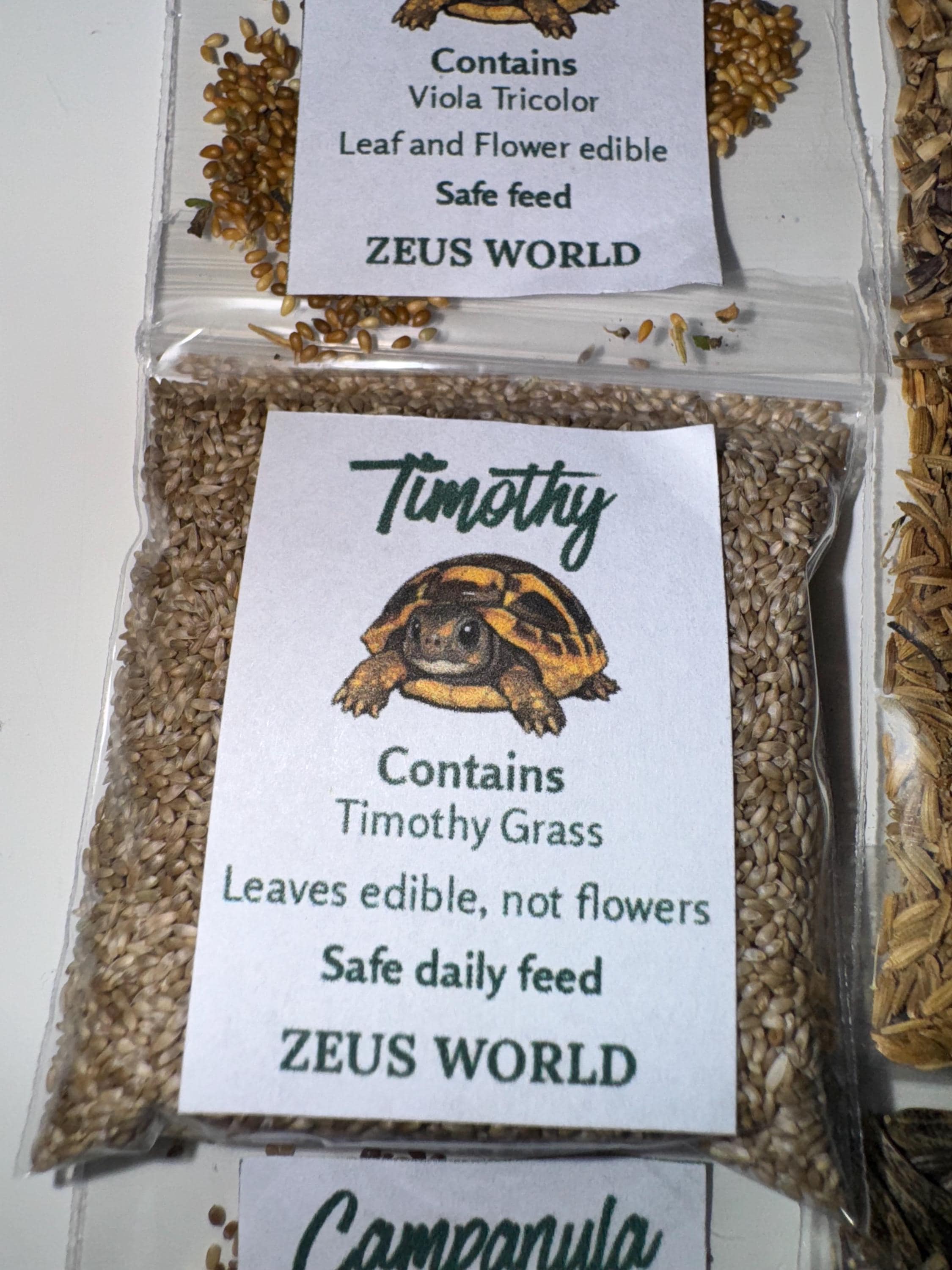 Timothy | Grow Your Own Tortoise Food Kit | Tortoise Seeds & Organic Soil | Natural Grazing Kit