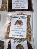 Lambs Lettuce Seeds | Grow Your Own Tortoise Food | Tortoise Safe Seed Blend | Natural Reptile Diet