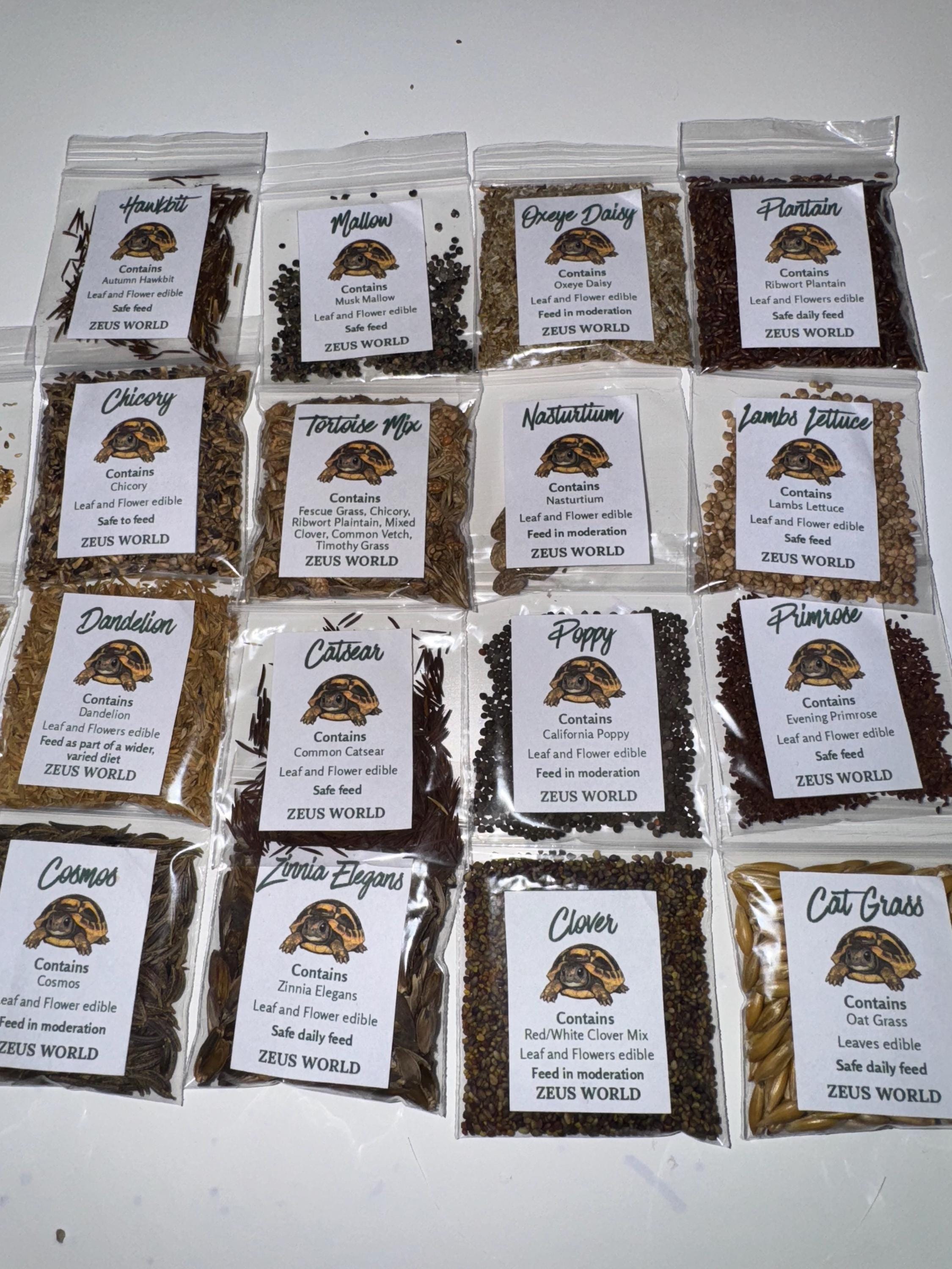 Hawkbit  | Grow Your Own Tortoise Food Kit | Tortoise Seeds & Organic Soil | Natural Grazing Kit