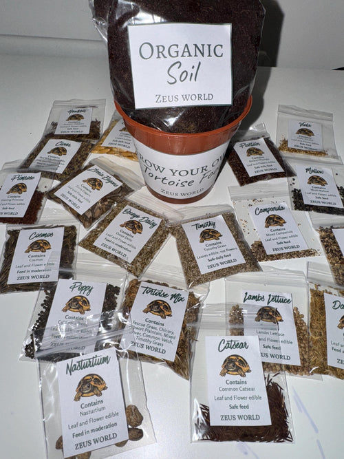 California Poppy | Grow Your Own Tortoise Food Kit Pot | Tortoise Seeds & Organic Soil