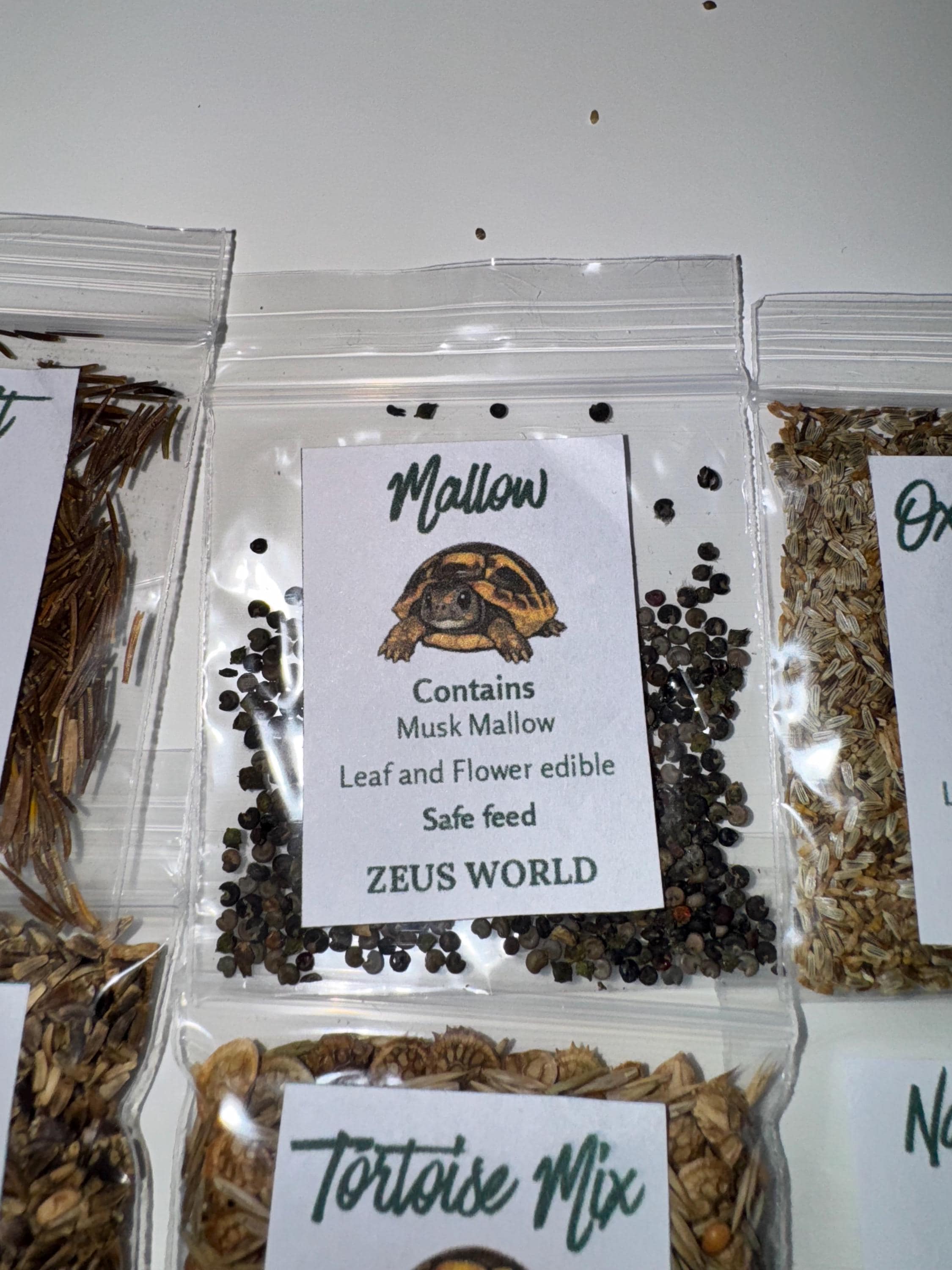 Mallow | Grow Your Own Tortoise Food Kit | Tortoise Seeds & Organic Soil | Natural Grazing Kit