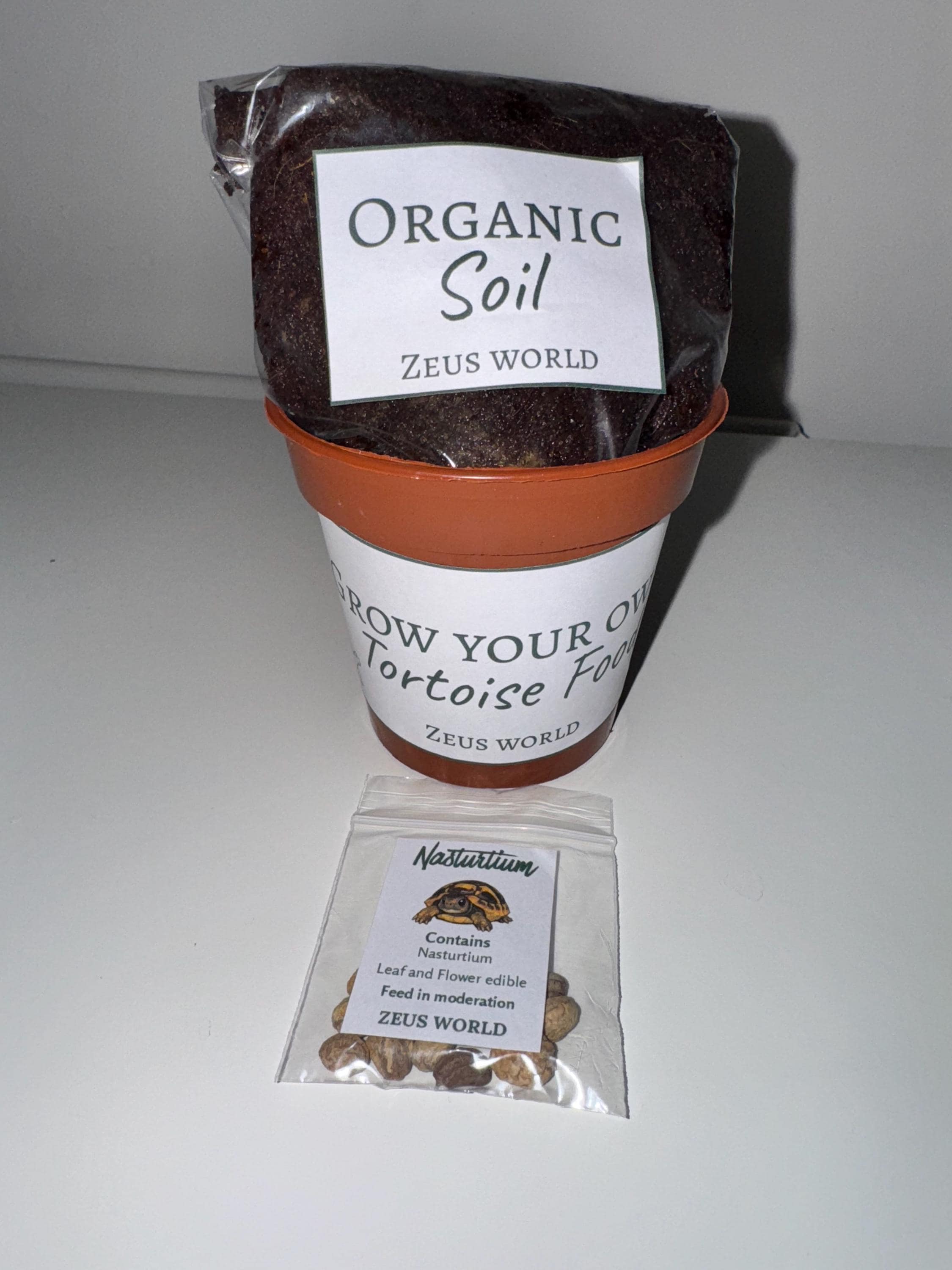 Nasturtium | Grow Your Own Tortoise Food Kit Pot | Tortoise Seeds & Organic Soil