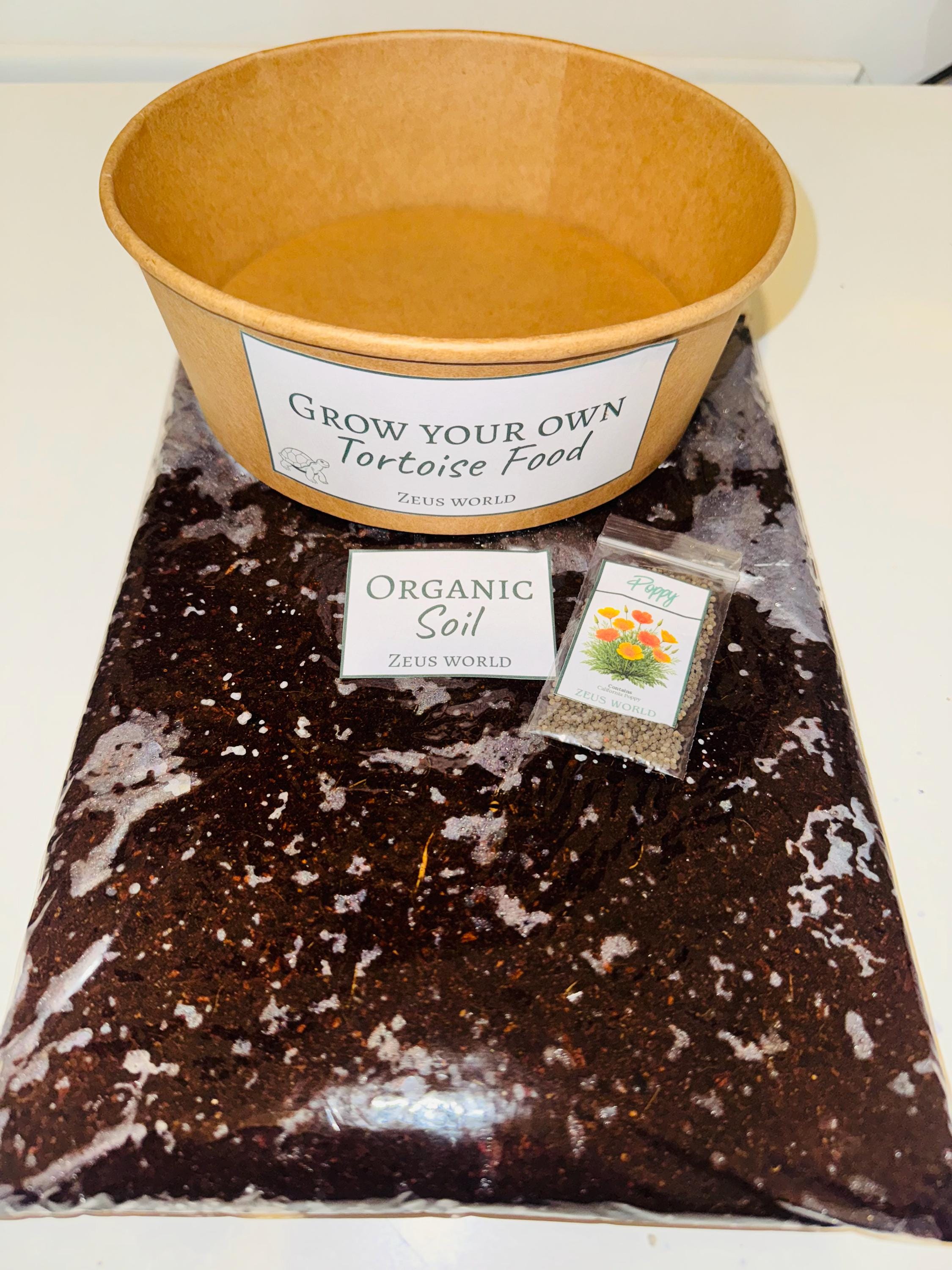 California Poppy | Grow Your Own Tortoise Food Kit | Tortoise Seeds & Organic Soil | Natural Grazing Kit