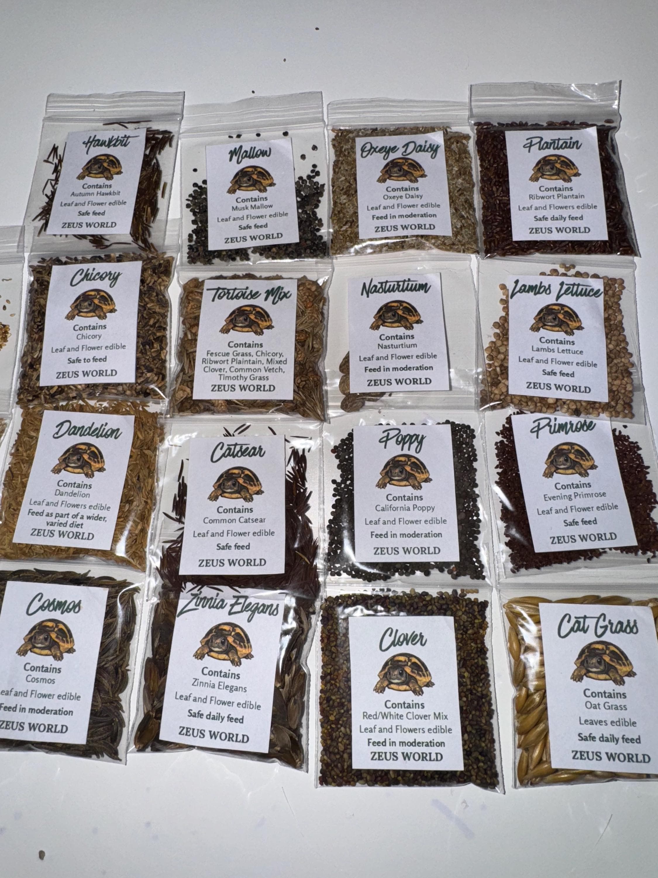 Dandelion Seeds | Grow Your Own Tortoise Food | Tortoise Safe Seed Blend | Natural Reptile Diet