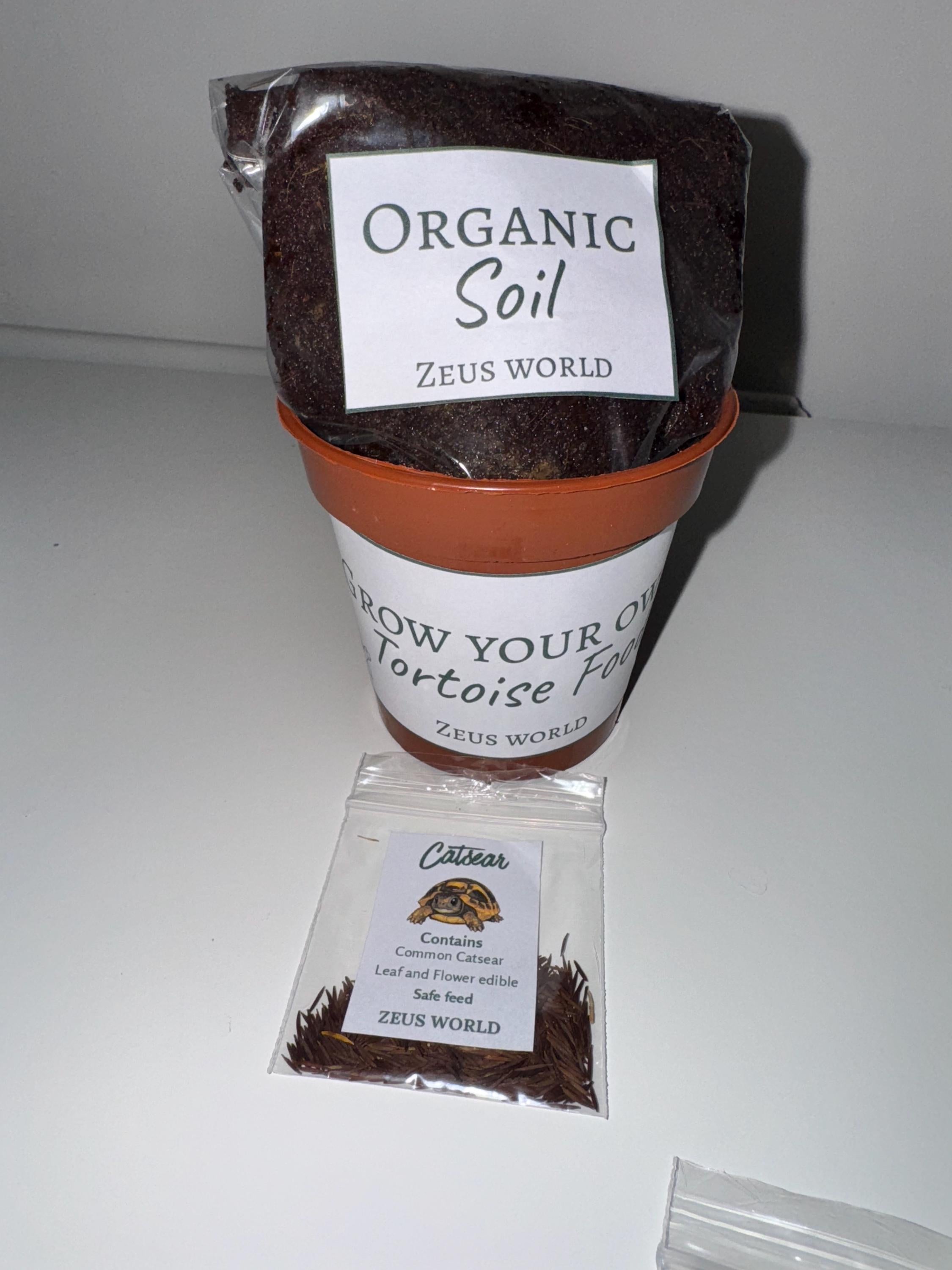 Catsear | Grow Your Own Tortoise Food Kit Pot | Tortoise Seeds & Organic Soil | Natural Grazing Kit