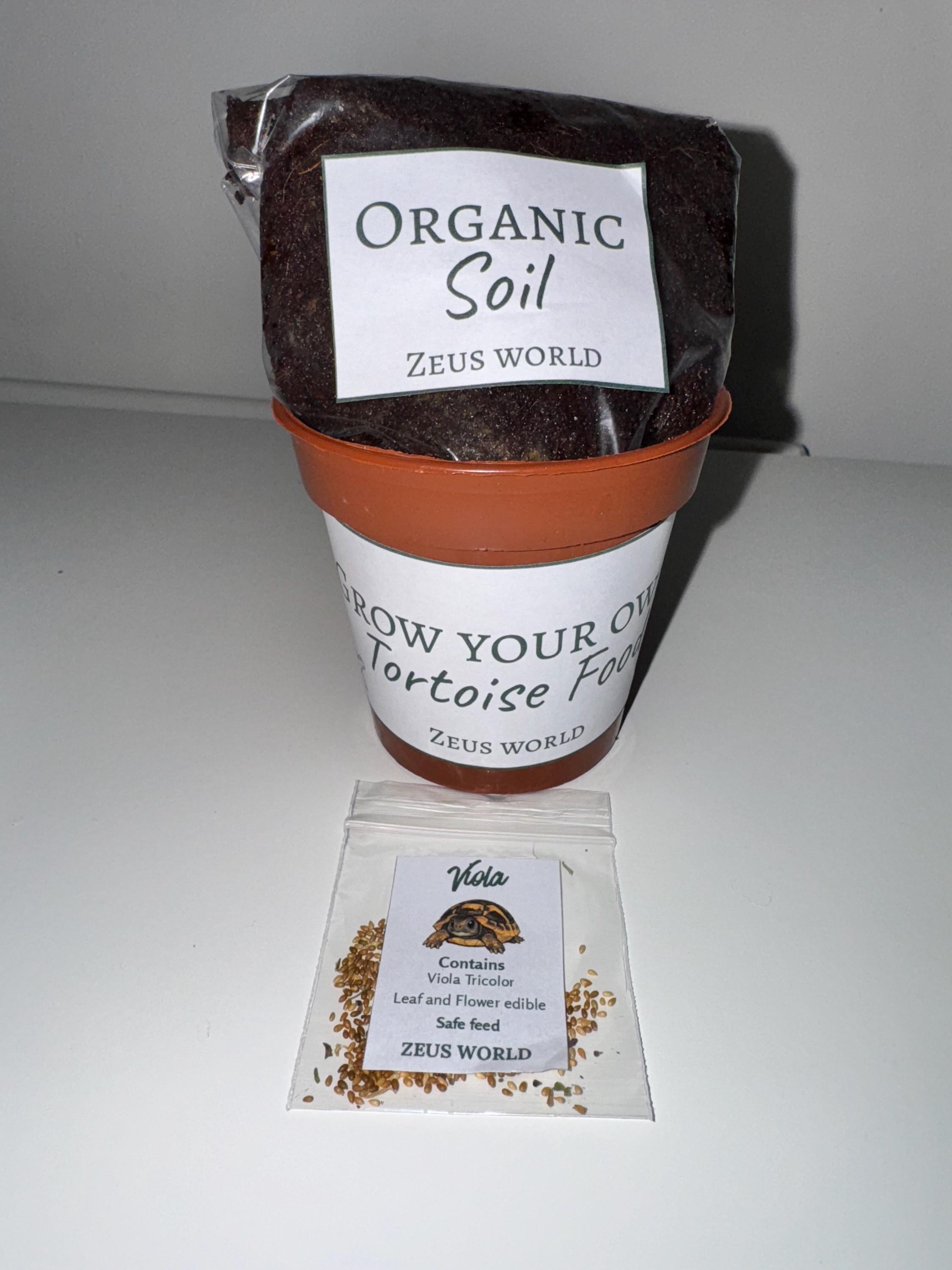 Viola  | Grow Your Own Tortoise Food Kit Pot | Tortoise Seeds & Organic Soil