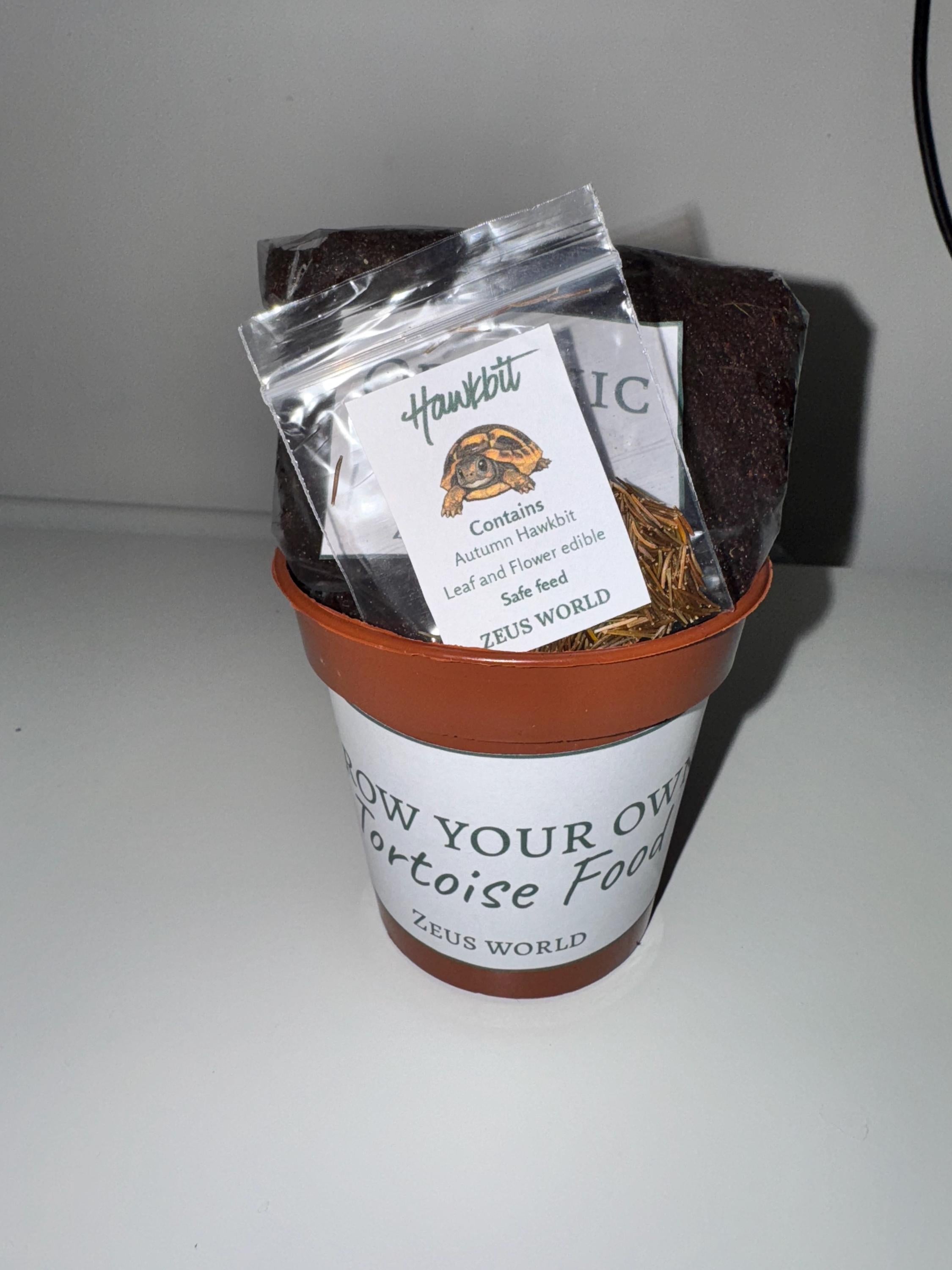Hawkbit  | Grow Your Own Tortoise Food Kit | Tortoise Seeds & Organic Soil | Natural Grazing Kit
