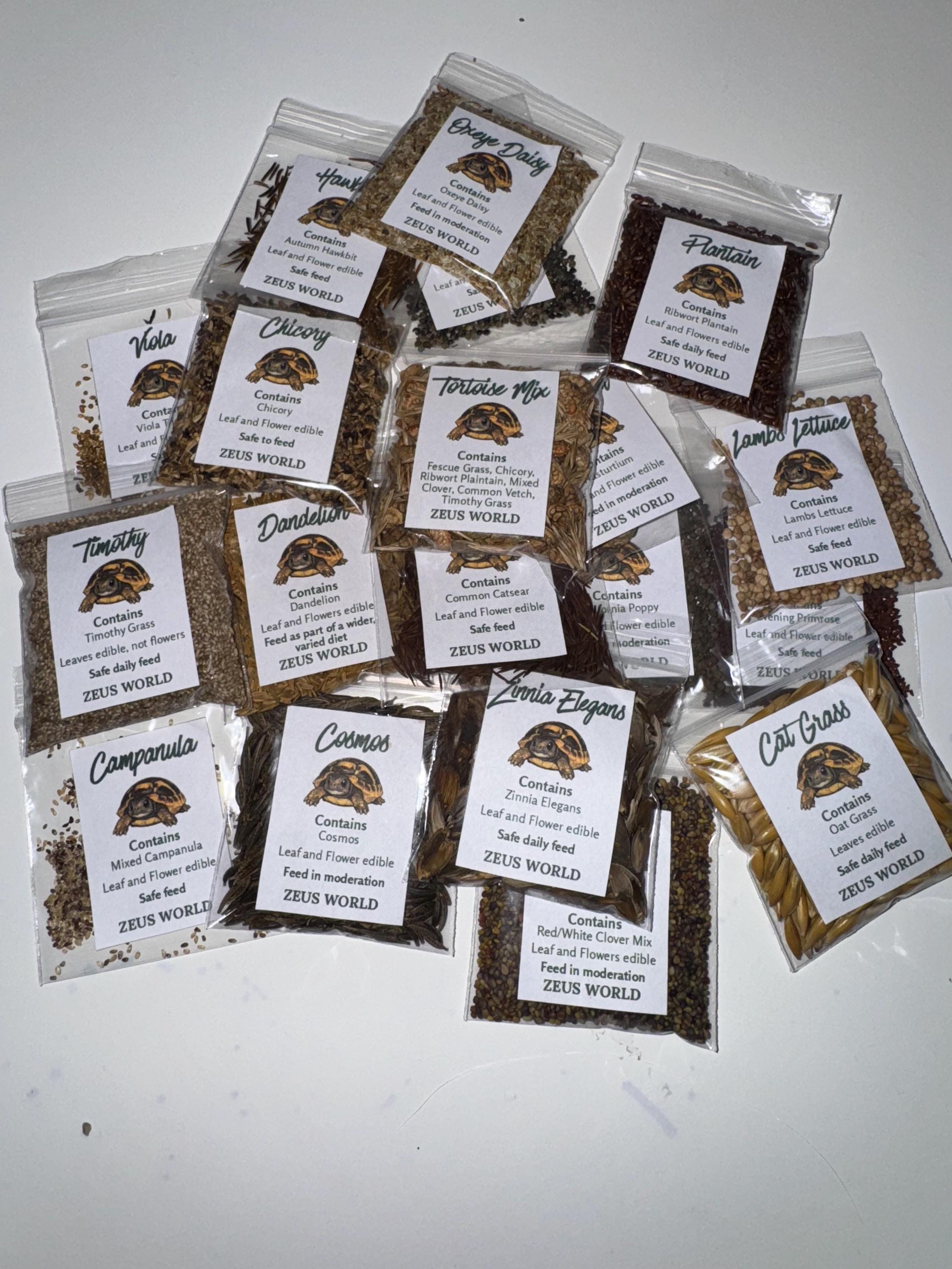 Primrose Seeds | Grow Your Own Tortoise Food | Tortoise Safe Seed Blend | Natural Reptile Diet