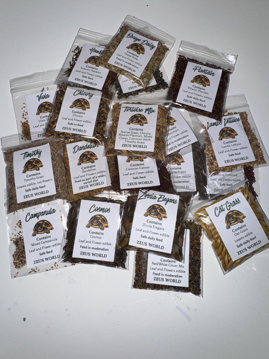 Catsear Seeds | Grow Your Own Tortoise Food | Tortoise Safe Seed Blend | Natural Reptile Diet